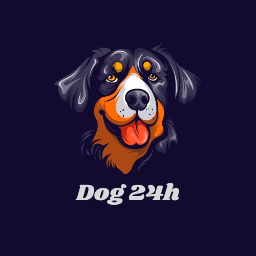 dog24h.com