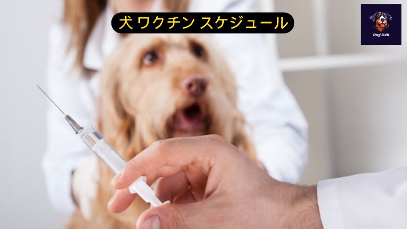 犬 ワクチン スケジュール