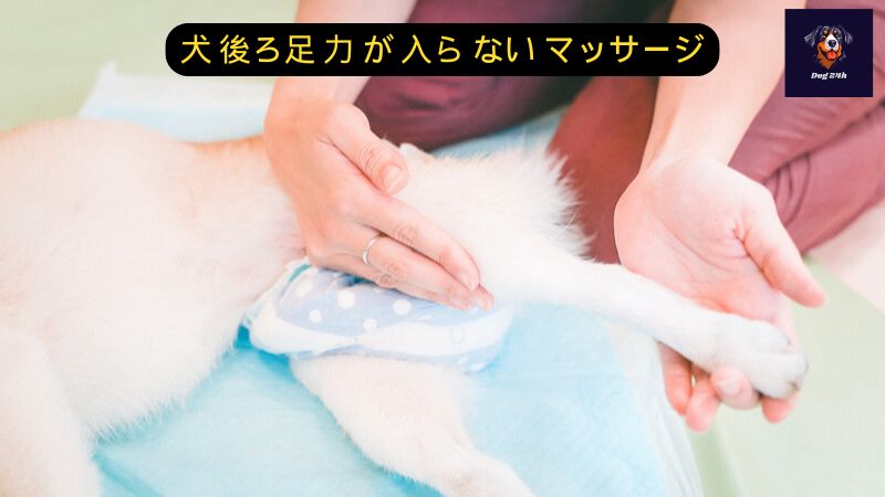 犬 後ろ足 力 が 入ら ない マッサージ