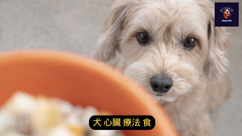 犬 心臓 療法 食