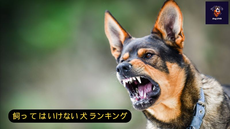 飼っ て は いけない 犬 ランキング